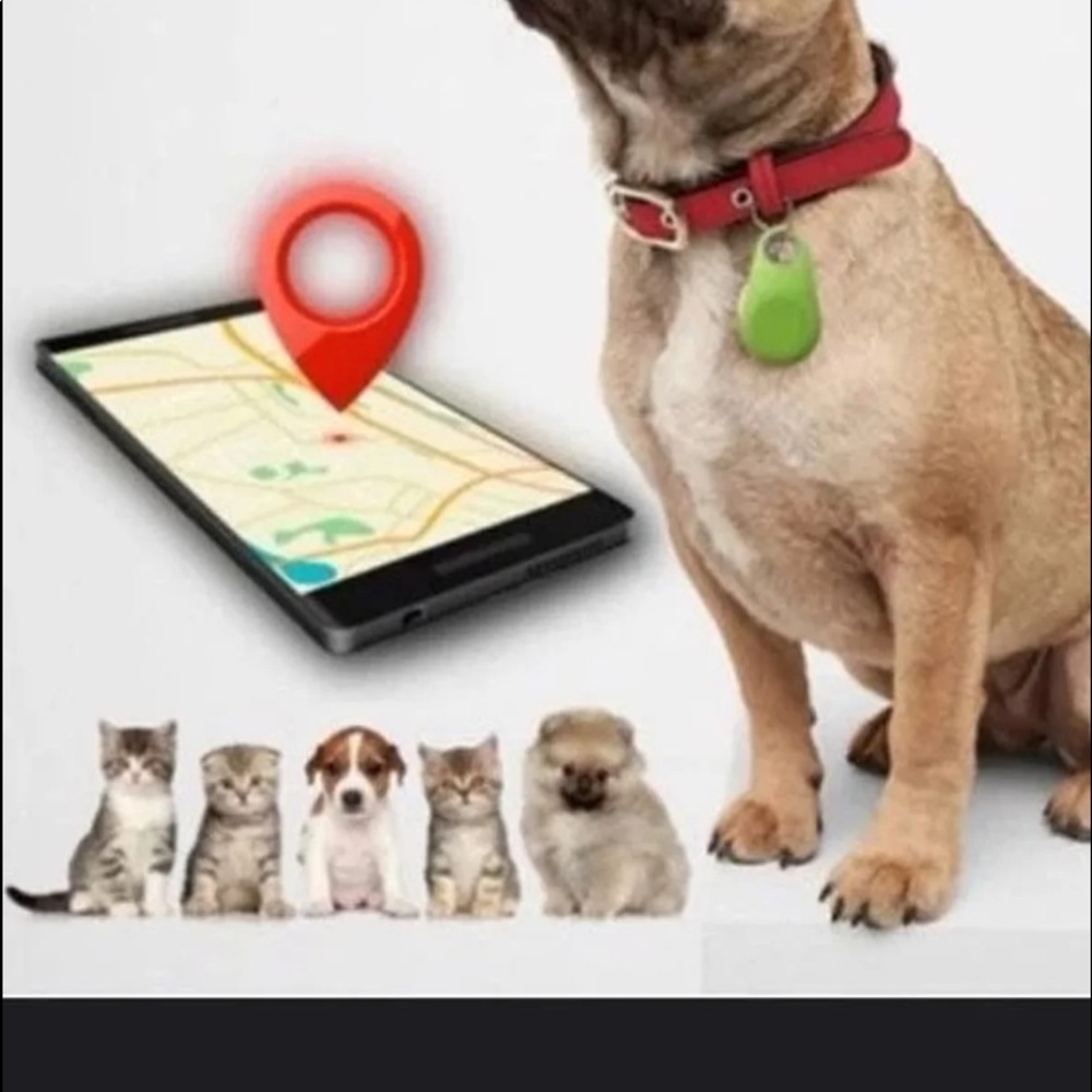 🐶 Pet GPS 🐶